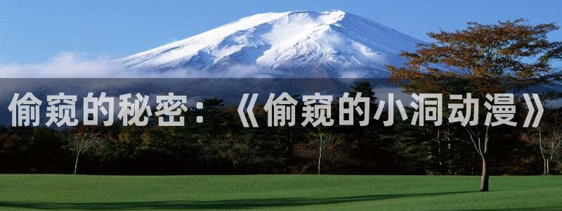 动漫岛动漫在线播放